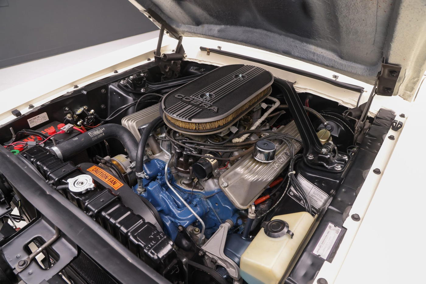 1967 Shelby Mustang GT500