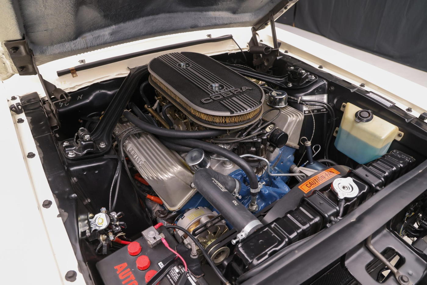 1967 Shelby Mustang GT500